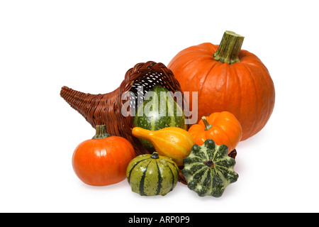Cornucopia, Gourds and Pumpkin Stock Photo