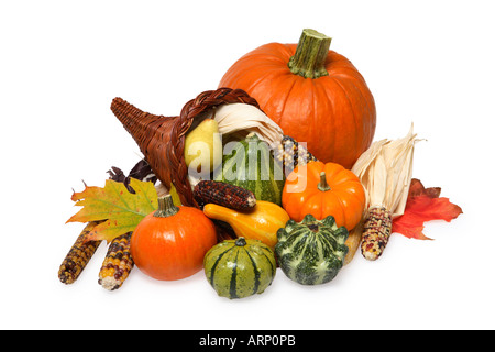 Cornucopia, Gourds and Pumpkin Seasonal Still Life Stock Photo
