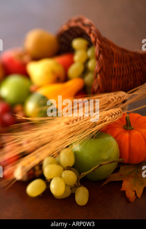 Fall Harvest Stock Photo