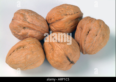 Whole Walnut walnuts in shell shells Stock Photo