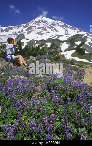 USA, Mount Rainier National Park, hiker in alpine area with wild flowers Stock Photo