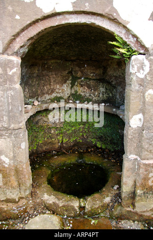 St Ann s Well The Virtuous Well Trellech Stock Photo