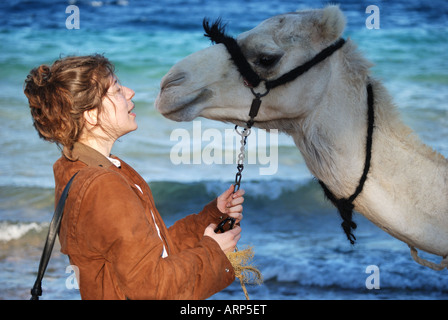 Young woman riding camel on beach, Nuweiba, Sinai Peninsula, Republic of Egypt Stock Photo