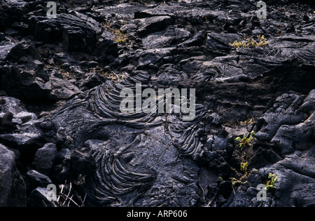 Jet black volcanic rock with creases from formation during lava flow. Big Island, Hawaii, USA. Stock Photo