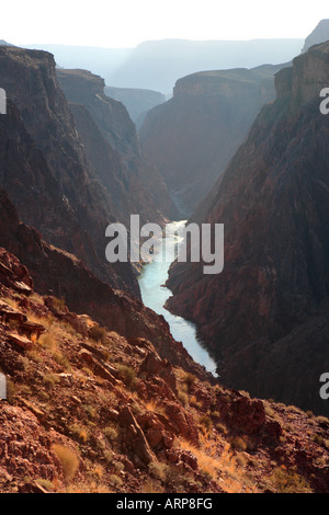VIEW OF GRANITE GORGE AND COLORADO RIVER FROM CLEAR CREEK TRAIL NEAR SUMNER WASH INSIDE GRAND CANYON IN GRAND CANYON NATIONAL PA Stock Photo