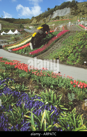 Giant bee sculpture/art installation among the colourful daffodils and tulips at the Eden Project in Cornwall England UK Stock Photo
