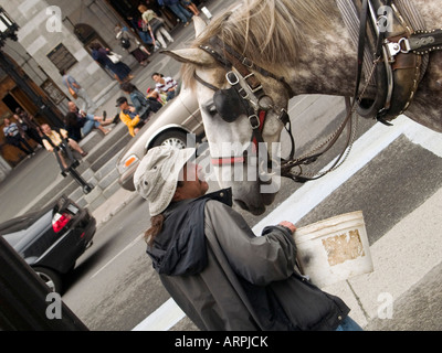 A man feeding his horse on Rue Notre Dame in front of the Basilique Notre Dame, Vieux Montreal Quebec Canada Stock Photo
