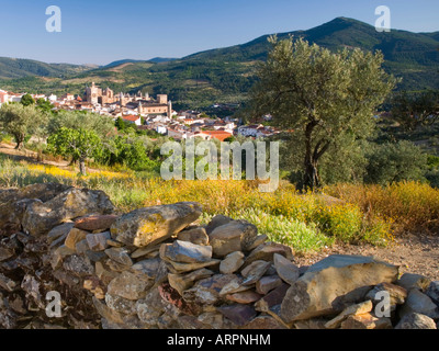 Guadalupe, Extremadura, Spain. View to the distant village from hillside, olive tree and dry stone wall in foreground. Stock Photo