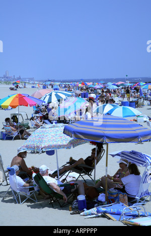 Group of people sitting on lawn chairs under three overlapping beach umbrellas on sandy beach Stock Photo