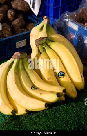 Bananas for sale on a market stall. Stockport Market, Stockport, Greater Manchester, United Kingdom. Stock Photo