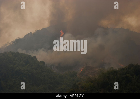 Burning forest being cleared to plant crops by villagers near Phongsaly Laos  Stock Photo