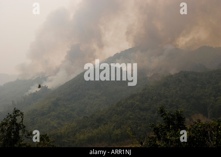 Burning forest being cleared to plant crops by villagers near Phongsaly Laos  Stock Photo