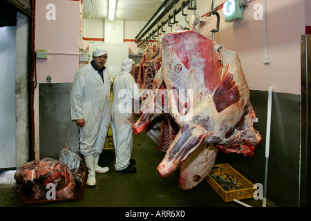 Abattoir carcasses dead meat pig agriculture livestock bacon chiller beef sides slaughter house carcass farming food farm Stock Photo