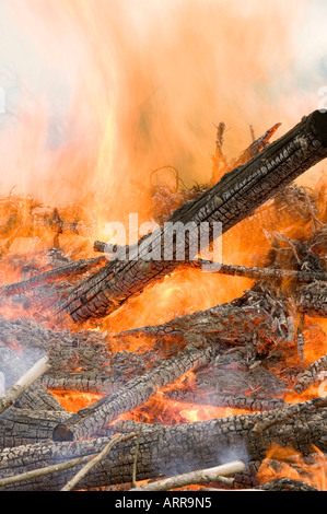 a forest fire near Egremont, Cumbria, UK Stock Photo