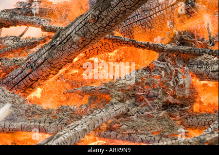 a forest fire near Egremont, Cumbria, UK Stock Photo