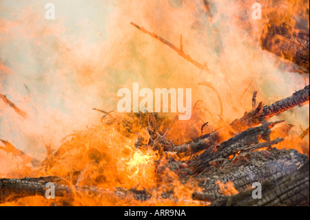 a forest fire near Egremont, Cumbria, UK Stock Photo