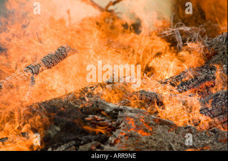 a forest fire near Egremont, Cumbria, UK Stock Photo