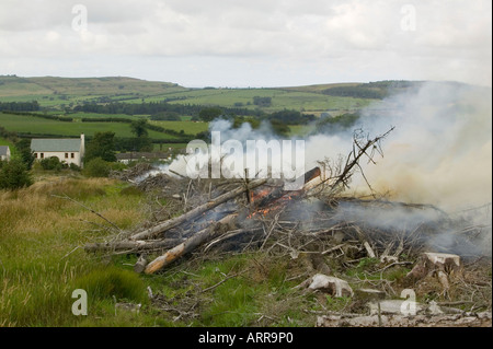 a forest fire near Egremont, Cumbria, UK Stock Photo