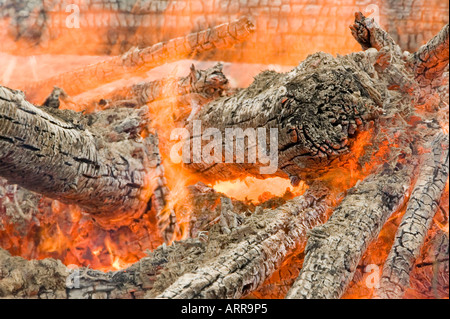 a forest fire near Egremont, Cumbria, UK Stock Photo