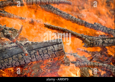 a forest fire near Egremont, Cumbria, UK Stock Photo