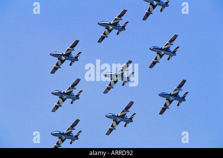 Italian Air Force Aerobatic Team Frecce Tricolori Aermacchi MB 339 Stock Photo