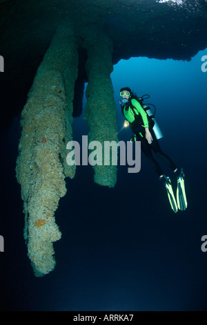 nr0675D. scuba diver, Model Released, explores stalactites130 feet deep in The Blue Hole. Belize. Copyright Brandon Cole Stock Photo