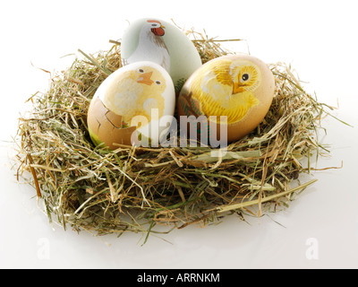 traditional painted Easter chicken egg in a straw birds nest - concept decoration Stock Photo