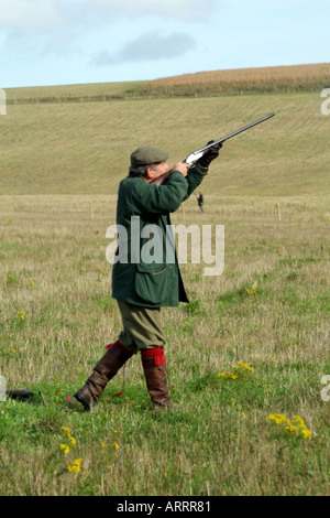 Sportsman shoot firing shotgun on a days shoot in the Hampshire countryside southern England UK Europe Stock Photo