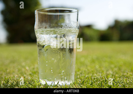 Pint of lemonade on the grass Stock Photo