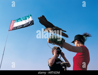 Western tourists holding a falcon on gloved arm, United Arab Emirates Stock Photo