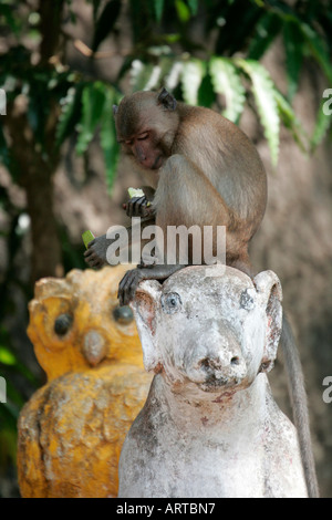 Statue with monkey at a hillside monastery near Moulmein, (Mawlamyaing), Lower Burma, (Myanmar) Stock Photo