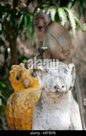 Statue with monkey at a hillside monastery near Moulmein, (Mawlamyaing), Lower Burma, (Myanmar) Stock Photo