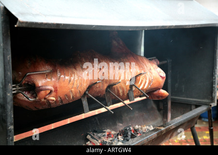 hog roast on spit Stock Photo