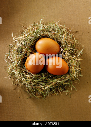 Burford brown organic chicken eggs in a nest Stock Photo