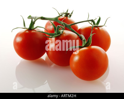 Tomatoes on the vine on a white background Stock Photo
