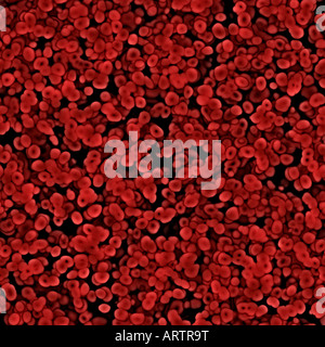 seamless image lots of red blood cells under the microscope Stock Photo