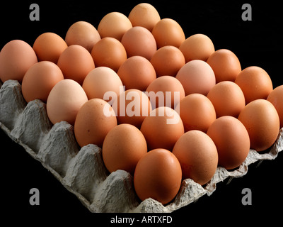 BROWN EGGS IN CARTON Stock Photo