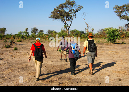 Ranger with tourists on a game walk in the African savannah Botswana Stock Photo