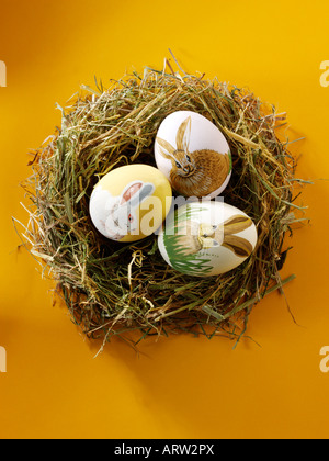 traditional painted Easter chicken egg in a straw birds nest - concept decoration Stock Photo