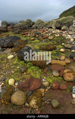 vertical photo of colourful rocky shore on the isle of arran in scotland Stock Photo