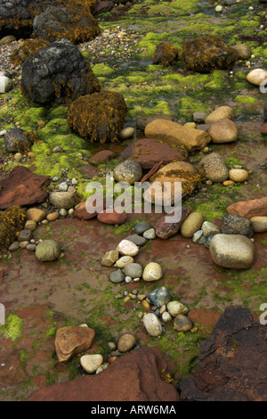 vertical photo of colourful rocky shore on the isle of arran in scotland Stock Photo