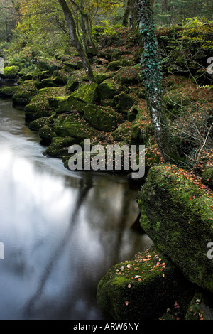 Reflections in the River Wharfe below The Strid, north Yorkshire Stock Photo