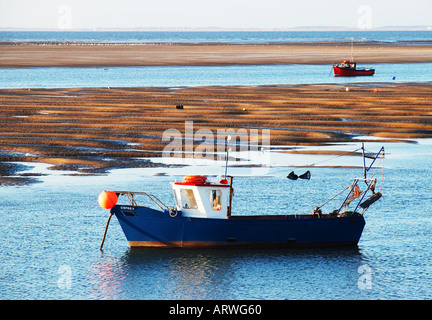 Old and well used fishing boats moored in harbor on a spring evening in  Gronhogen on Oland, Sweden. Names and logos removed Stock Photo - Alamy