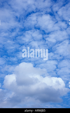 Puffy white cumulus clouds set against a mackerel or altocumulus summer blue sky Stock Photo