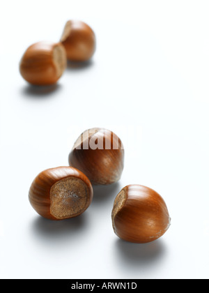 hazelnuts Stock Photo