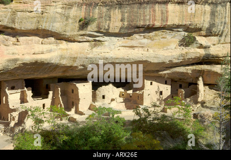 Spruce Tree House Ruin Mesa Verde National Park Colorado USA Stock ...