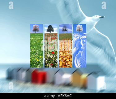 DIGITAL CONCEPT: The Four Seasons Stock Photo