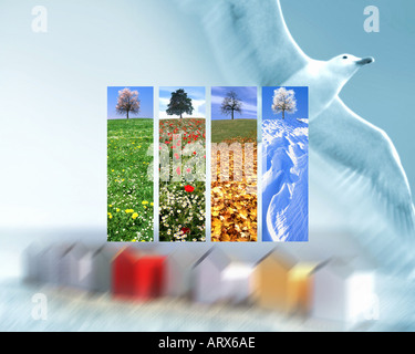 DIGITAL CONCEPT: The Four Seasons Stock Photo
