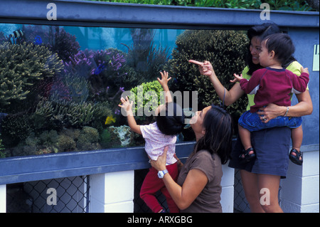 Young children and their moms learn about and enjoy watching colorful fish and live corals in a Coral Farm exhibit at the Stock Photo