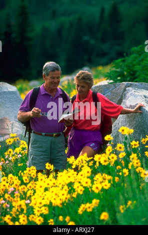 Senior couple reading a field guide while hiking in a field of yellow flowers in the mountains Stock Photo